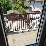 Viola * Сансеполькро