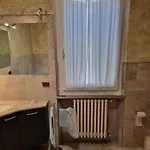 Viola * Сансеполькро