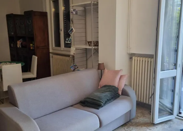 Viola * סנספולקרו